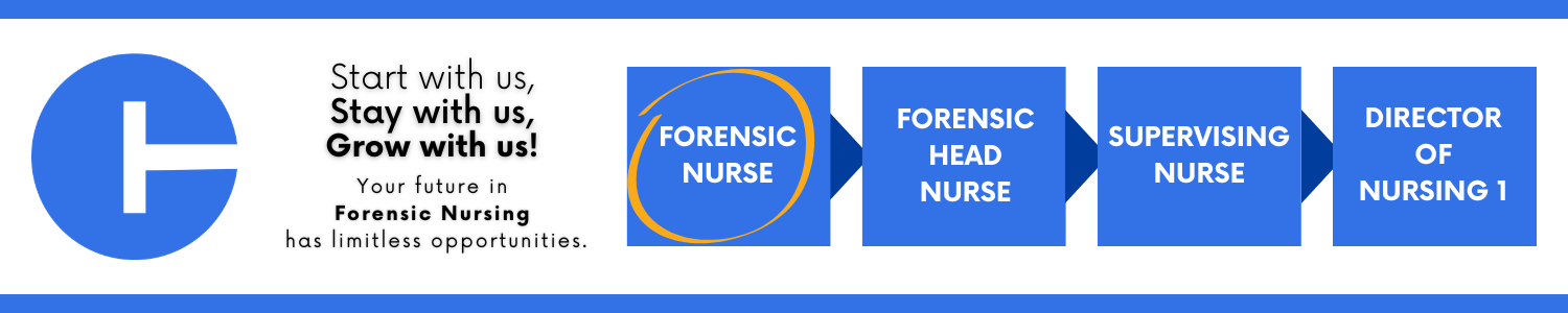 Career progression within the State of Connecticut: starting with Forensic Nurse (outlined to indicate current opening), advancing to Forensic Head Nurse, then Supervising Nurse, and ending at Director of Nursing 1.