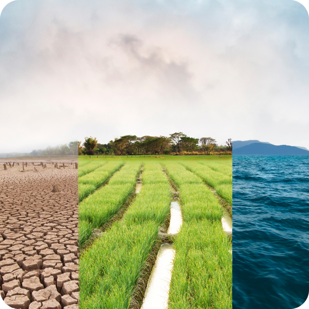 Job Announcement: Environmental Health Specialist (Entry) - County of Solano