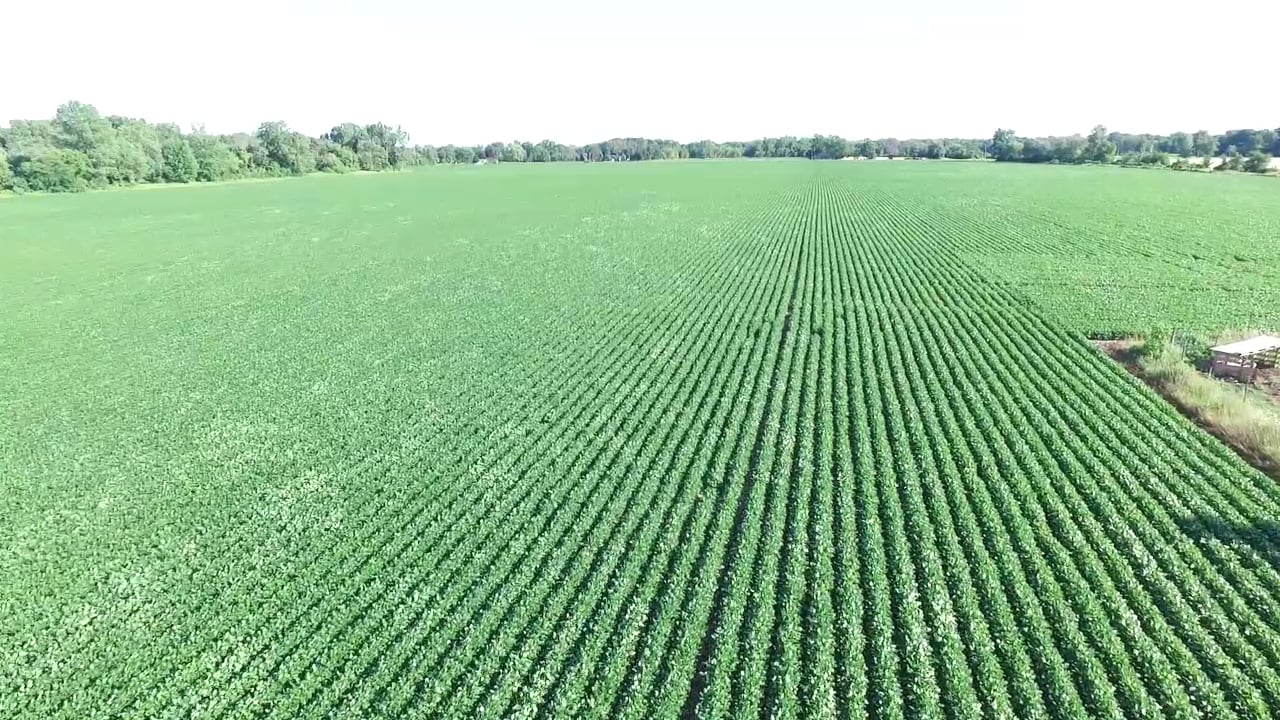 Job Announcement: Ag Biologist/Weights & Measures Inspector  (Journey/Senior) - County of Solano